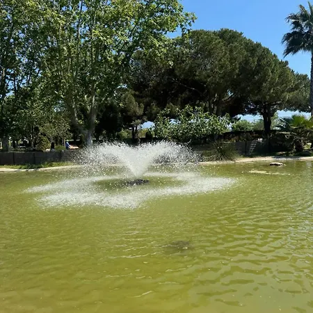 Near The And Pool Antibes