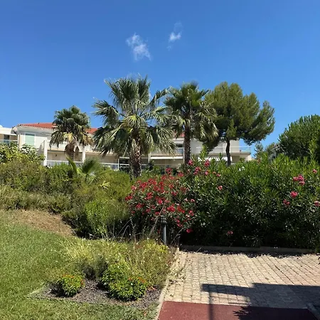 Near The And Pool